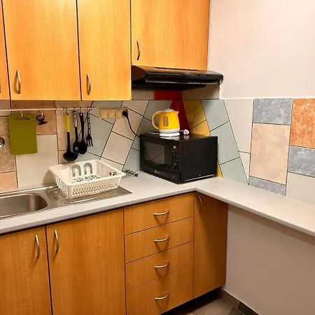 Apartmans And With Parking Turgenevova - Olomoucka * Brno