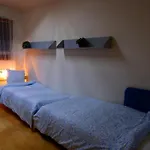 Apartmans And With Parking Turgenevova - Olomoucka Hostel Brno