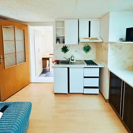 Apartmans And With Parking Turgenevova - Olomoucka * Брно