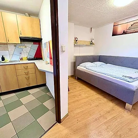 Apartmans And With Parking Turgenevova - Olomoucka * 布尔诺